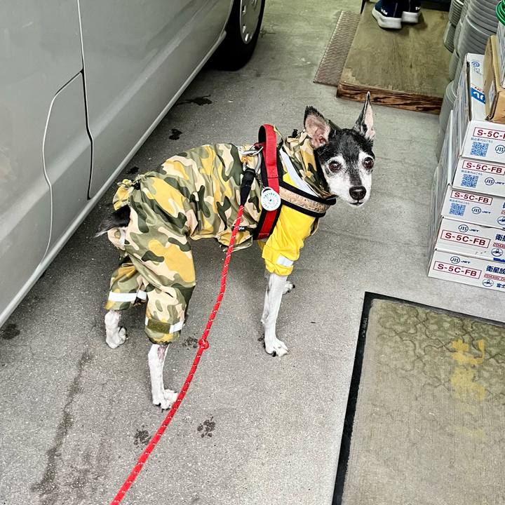 670c49de b053 432d a173 55c05985b58f 1655156514838