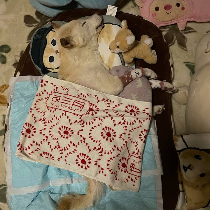 670c57d6 c1b0 42c5 91da 4035a415a9cb 1682262451722