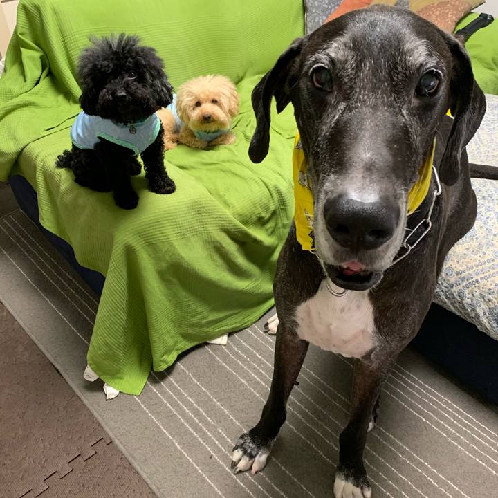 670c5e00 5d5f 484f 8924 0160b61308e5 1567118012300