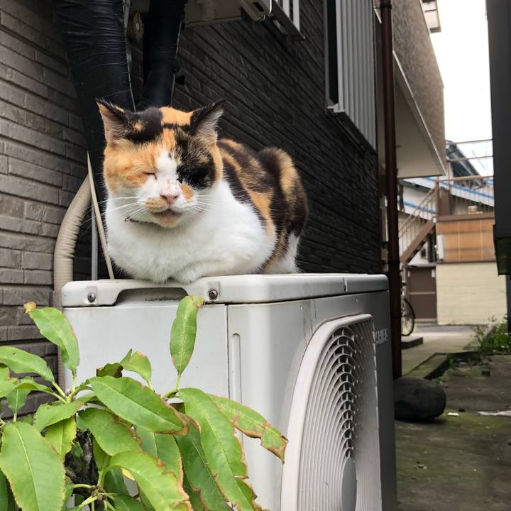 670c8249 a79e 437c 9ae6 7e5efe2730d8 1538764041813