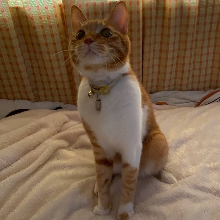 670cc91e a7cf 4291 8417 09164829cad9 1587191896318