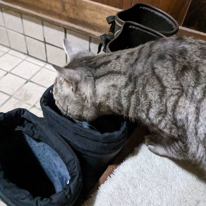 670cf0d4 b70a 4d99 8957 10a2ffef781e 1707816892091