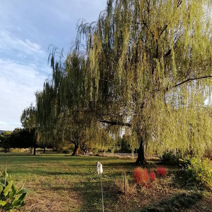 670cfd33 c4a8 4af8 8ba2 27a3ecf0b8ac 1635334701064