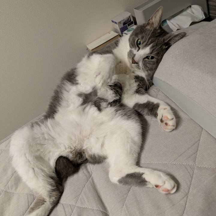 670d1054 102b 419d bbcc 5363c4659e78 1753105322775