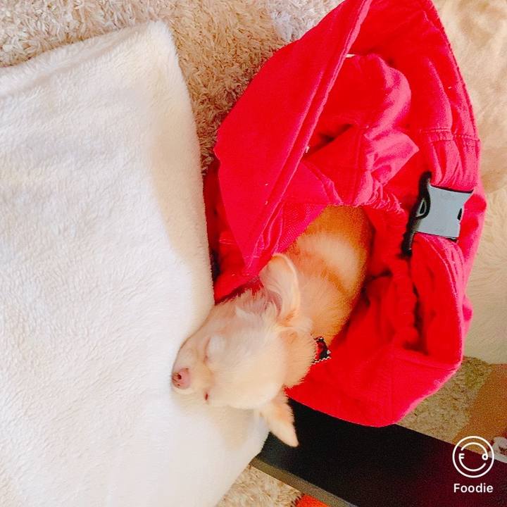 670d1bf1 33b2 4675 b3fc 004b14c6083e 1629409007901