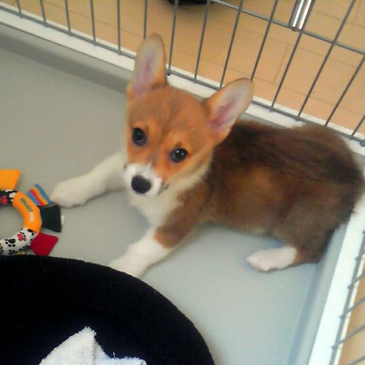 670d7033 660a 4d74 b5bf c616f7f7d5e6 1520159234647