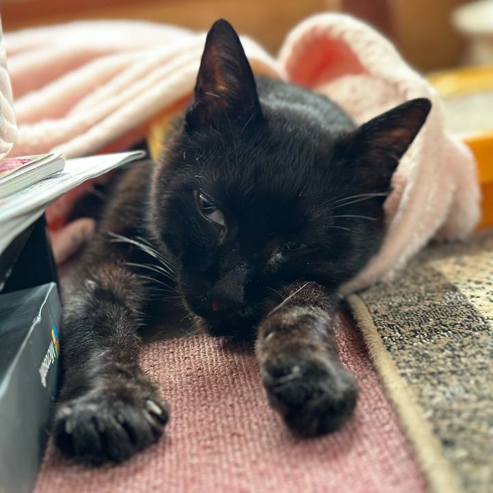 670dada9 d44e 465b b5db 93f288a6d753 1716517435137