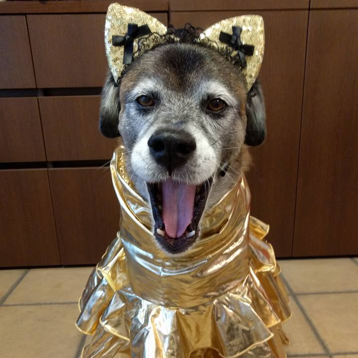 670daf92 fce1 4737 8d21 21f480db307e 1539328291053