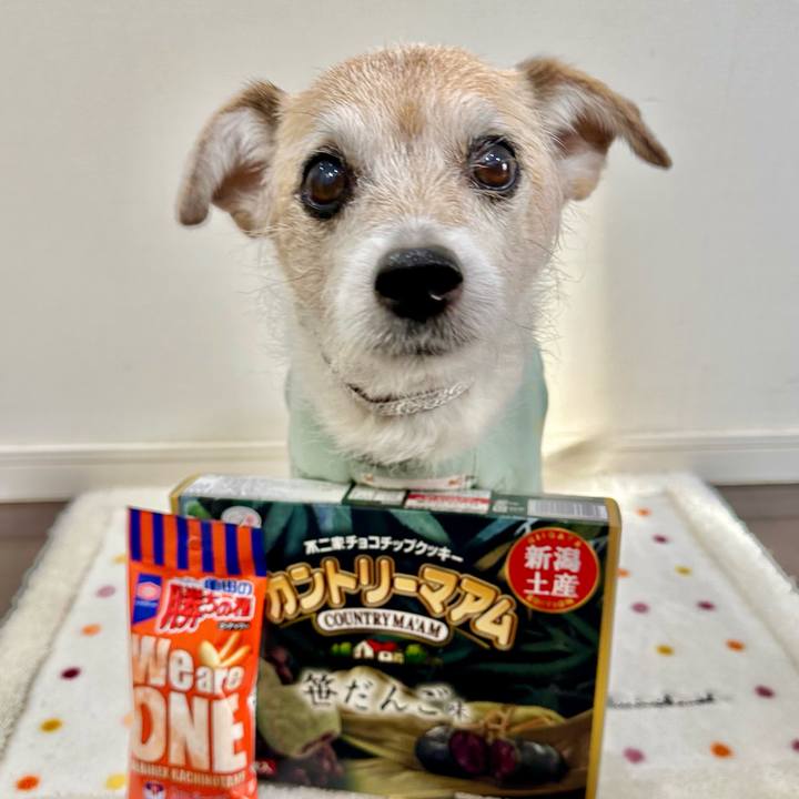 670dafec 9422 4077 b508 6cadf44ace93 1707522611915