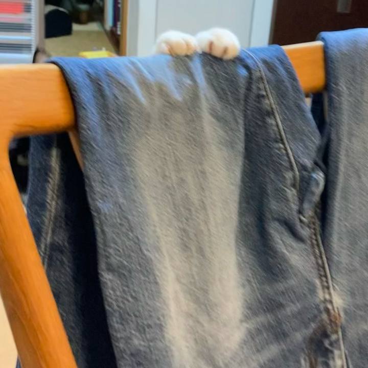 670dbb87 776e 4a94 9049 2965788aded9 1643639250723