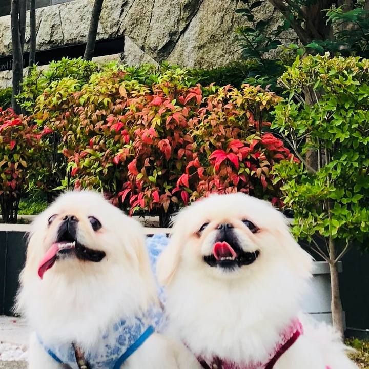 670dc451 77fe 4b08 882a 38cfbf669e69 1564440054697