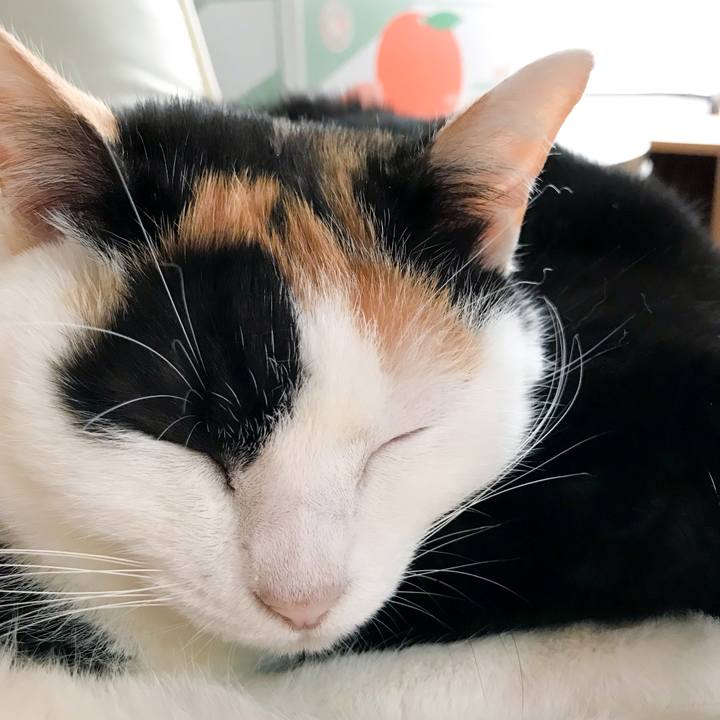 670e0bb8 460e 4819 9ff8 c1ab7d187501 1516411211185