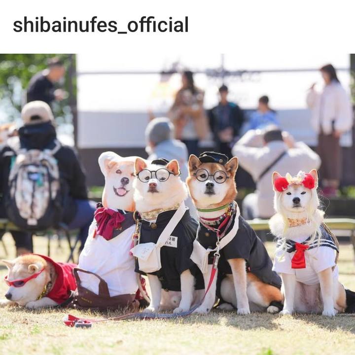 670e128b 87c0 4103 b9e8 2a3a035a9da7 1741589331226