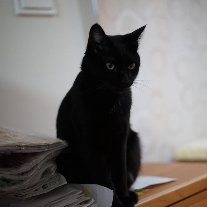 670e62b4 0b48 4535 9c9e 684f1f95d75e 1520499131385