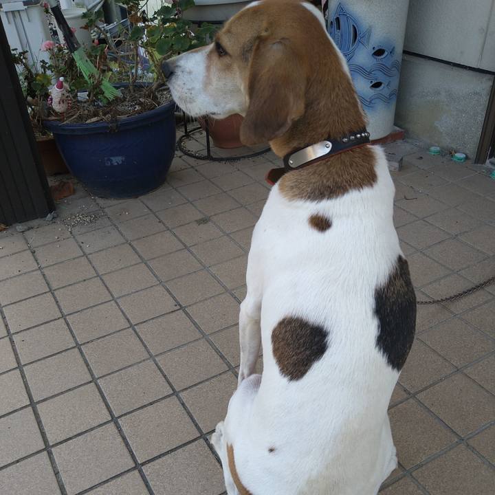 670e8ccc d487 464c 8286 c4e2bc54a4ac 1633591092372