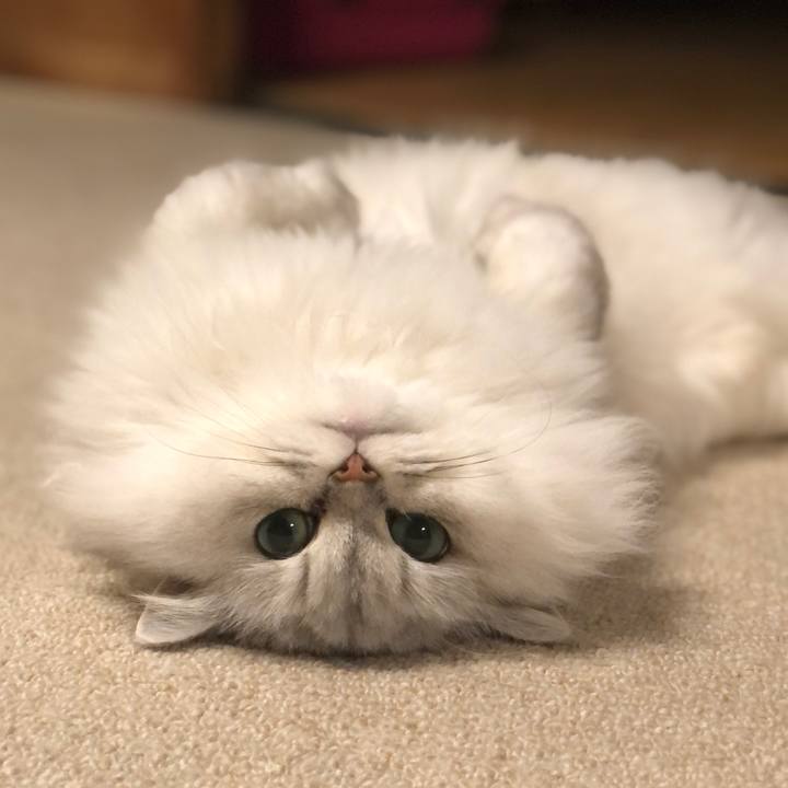 670e8ed1 8d60 4954 85da 3902bda8103e 1600681675510