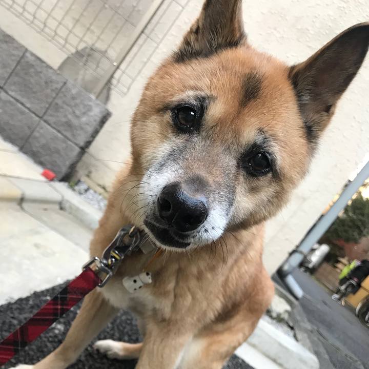 670ed3cd 8973 4a6e aa9e cb4fdd4b5ba6 1514802456130