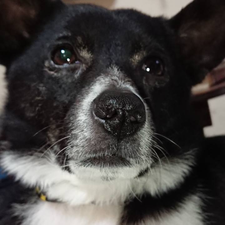 670ed410 2452 40a1 871f 0e8b59079f77 1523625086337