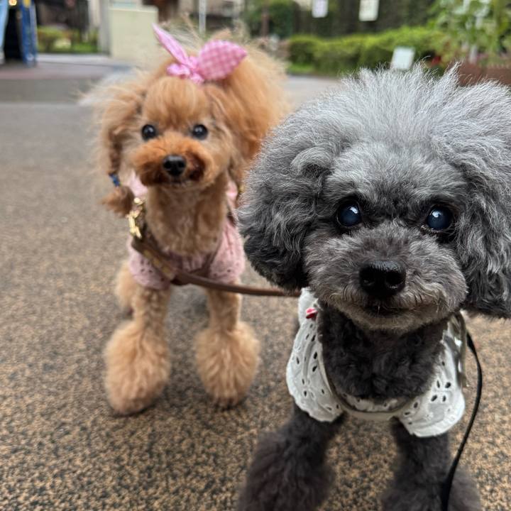 670ee9dc 173d 4524 a448 b2520d39b382 1754867780714