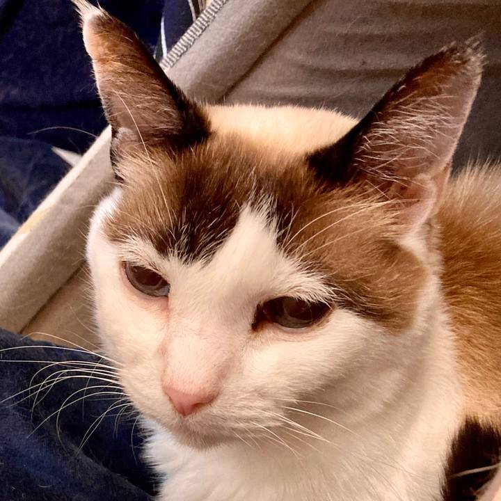 670efc44 35c5 462a aa71 daa51c78ef48 1676253130768