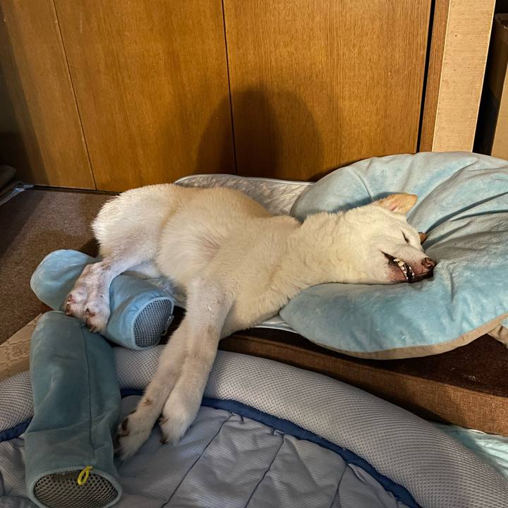 670f2e0c 8085 474a 9c1e d460b7b9391e 1660748421087