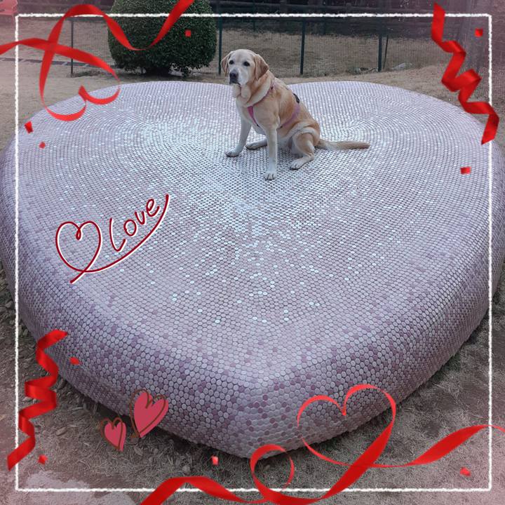 670f3c9b ee98 4637 9d6e c559ab419bee 1676352400256