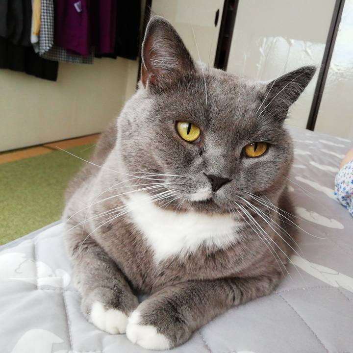 670f479b 63a4 443a 8757 8222b71806d1 1660699645091