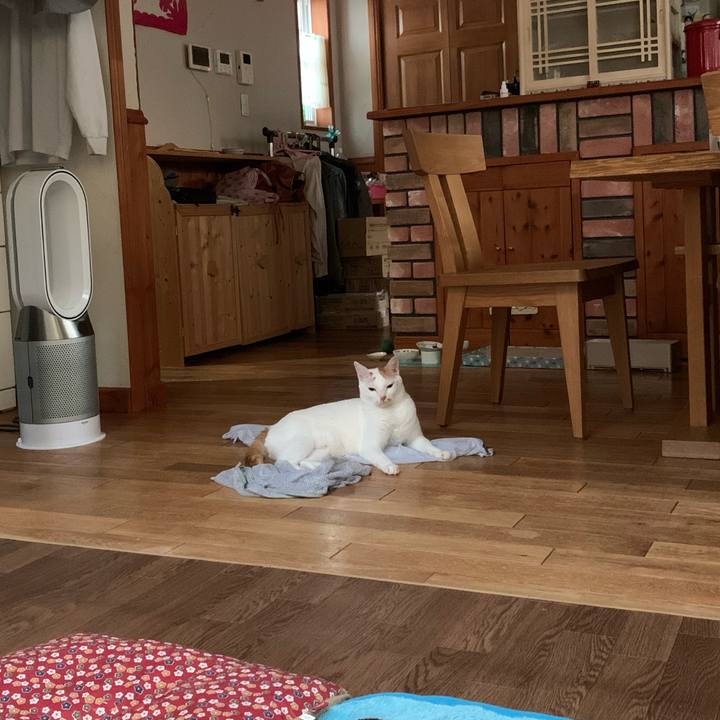 670f49ea 94d7 4306 9855 78734a04b258 1600468912718