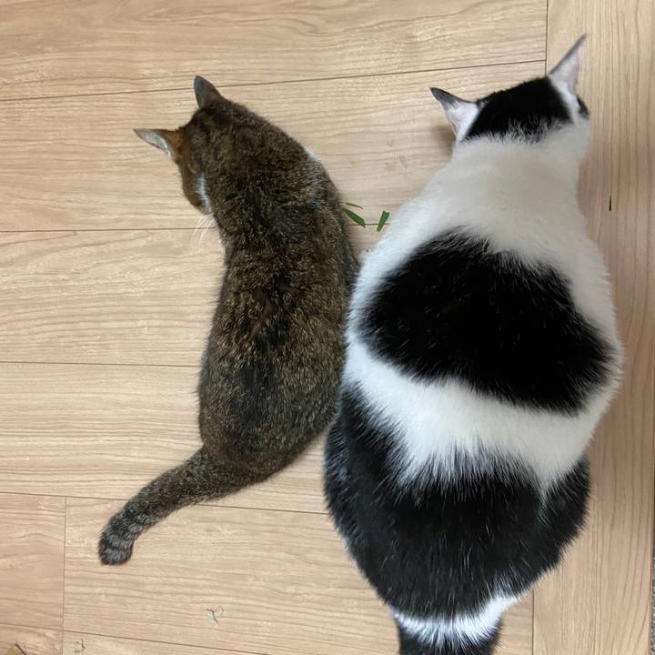 670f5e69 0cc3 4d24 b2f3 c68f0e51e1f9 1596113350212