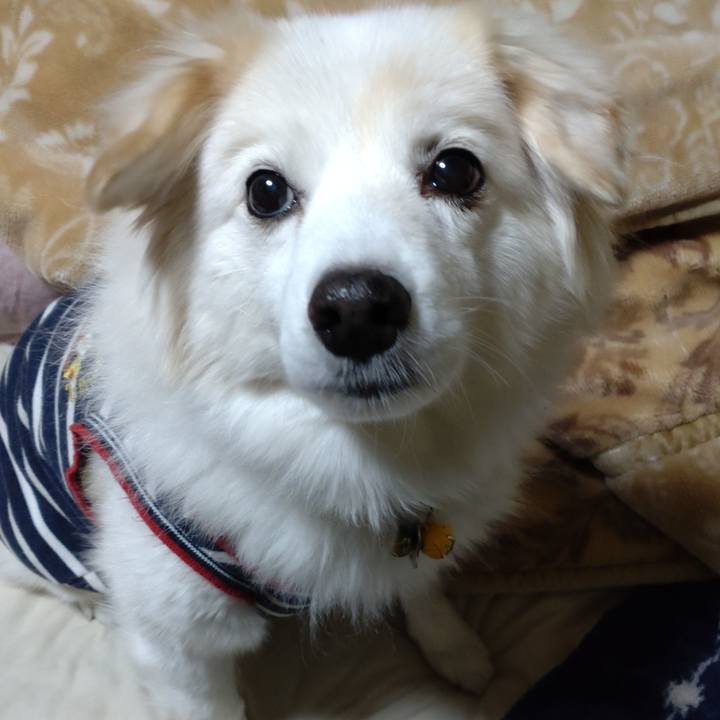 670f72e4 d89b 4325 b6d7 c333a2a499ca 1642678118533