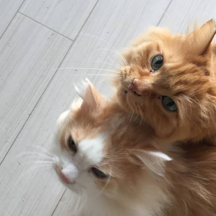 670f7952 f41d 4900 8242 a71ede19b7dc 1550007494540