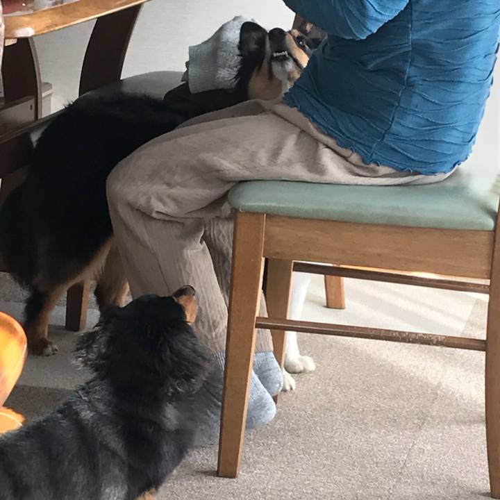 670f9c27 5895 47b9 ab35 72da0b025348 1529618322133