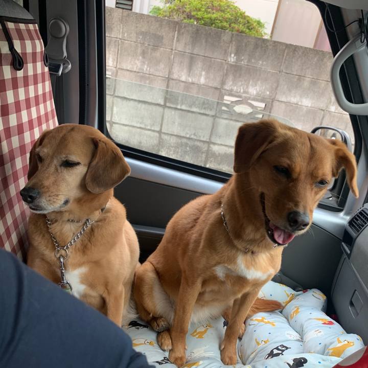 67100f7d eb73 452a 994b ad3992a026fb 1621932845797