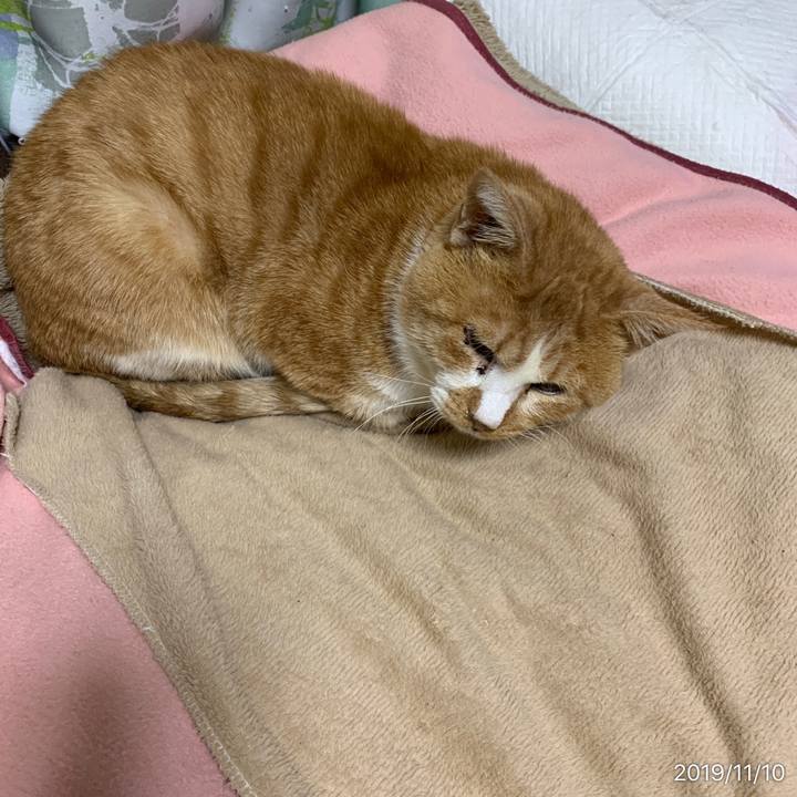 671018b5 0248 4668 a91b 1597d57514ea 1573389199862