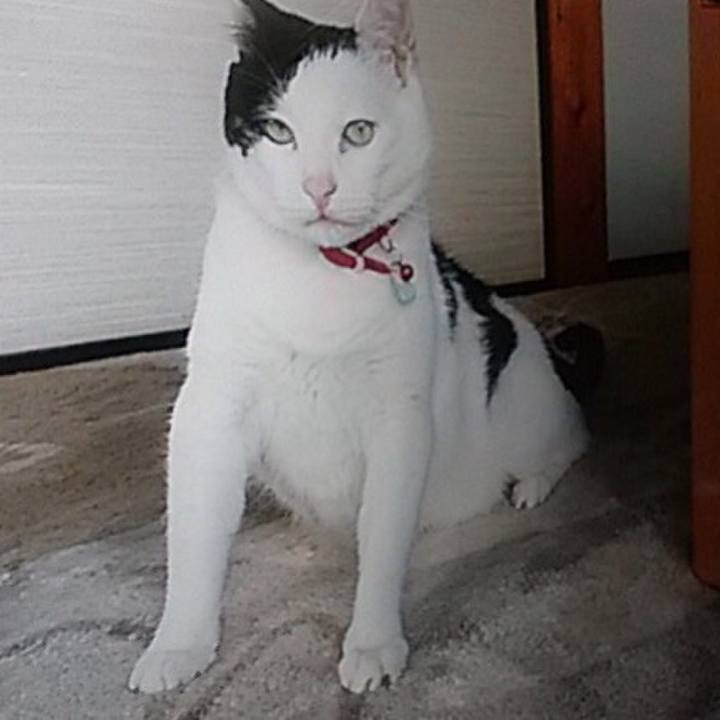 67104873 c5fa 47f8 b788 734a34dcf668 1513239162845