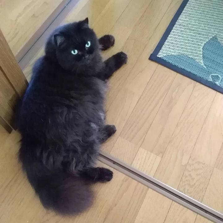 67104899 63eb 44ab 89aa 1bf31c566f47 1531444869995