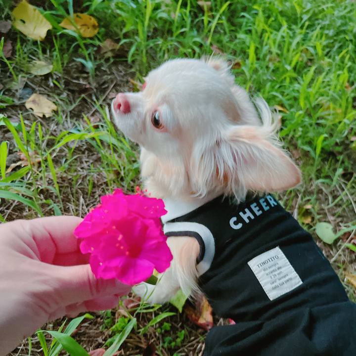 6710561b 70f6 4348 a2fc 05445f053dbb 1661161254687