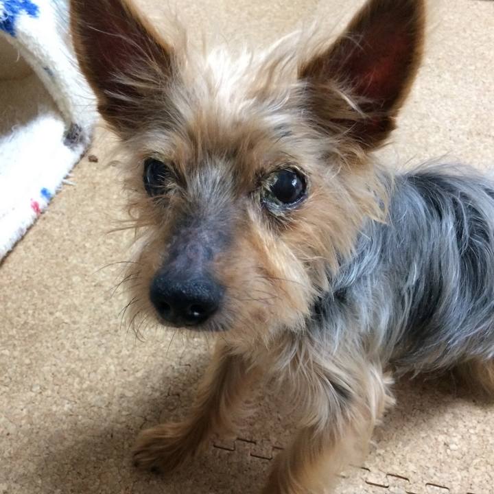 67105f5b 62fb 4291 9a52 02dbf14b3ba8 1691640697197