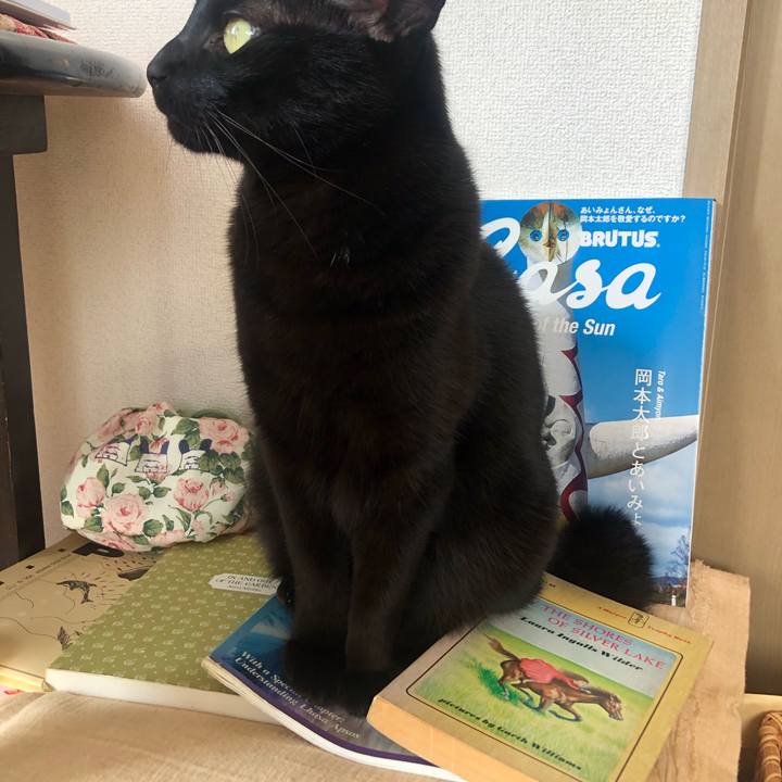 67107bc2 3968 4321 8a2c 463f5bcbb717 1667441370847