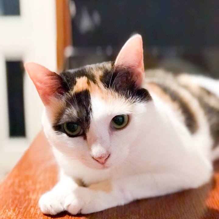 67108d30 370e 40a9 88cb fd37251a921a 1534256548498