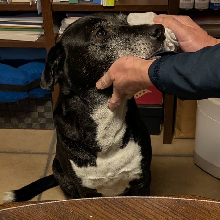 6710ad4f 6f23 4be5 be9b 7faa8aeb21d1 1770768404072