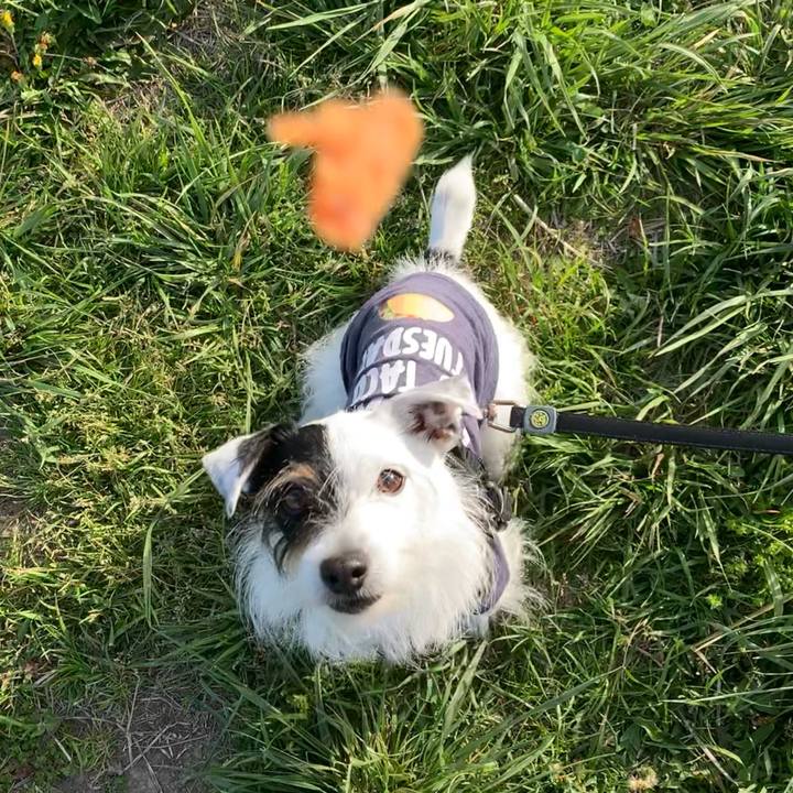 6710bea0 c2db 42ca 8a52 5be3620ea5ba 1681376237284