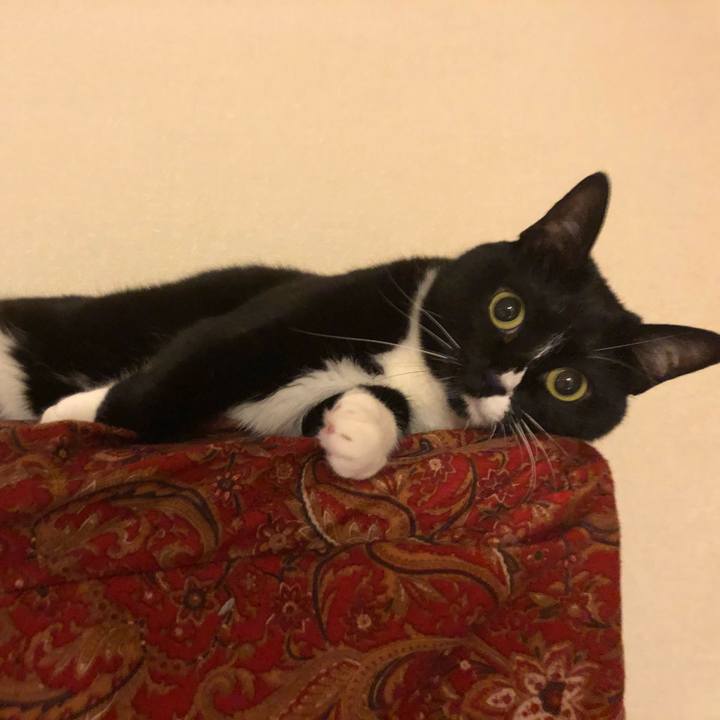 6710f87e 0007 4448 9ab1 fe4d0da20c37 1531432781882