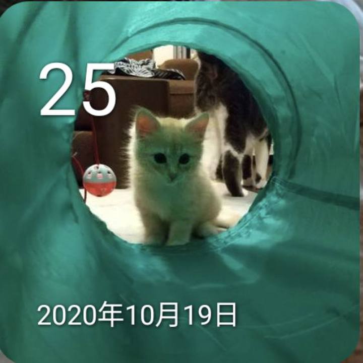 67115565 4360 4666 a1d7 bc6c5c9f051a 1698239715186