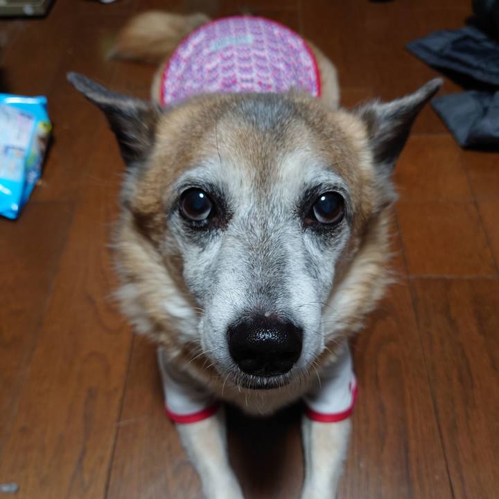 67116561 ca88 42bb 935d 85930b3d7bd6 1648199745017