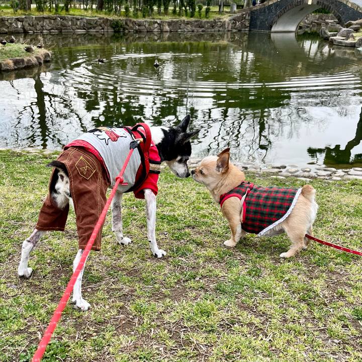 67117a22 97bb 4dd0 b33e 1a334d47be32 1647833441107