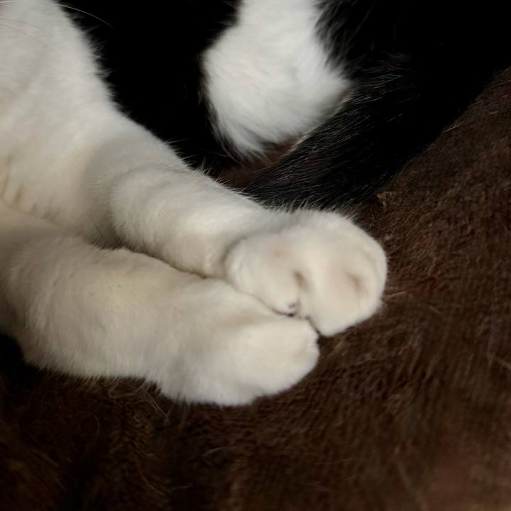 6711edb6 431a 4edb a778 b65acdb43b96 1761091508055