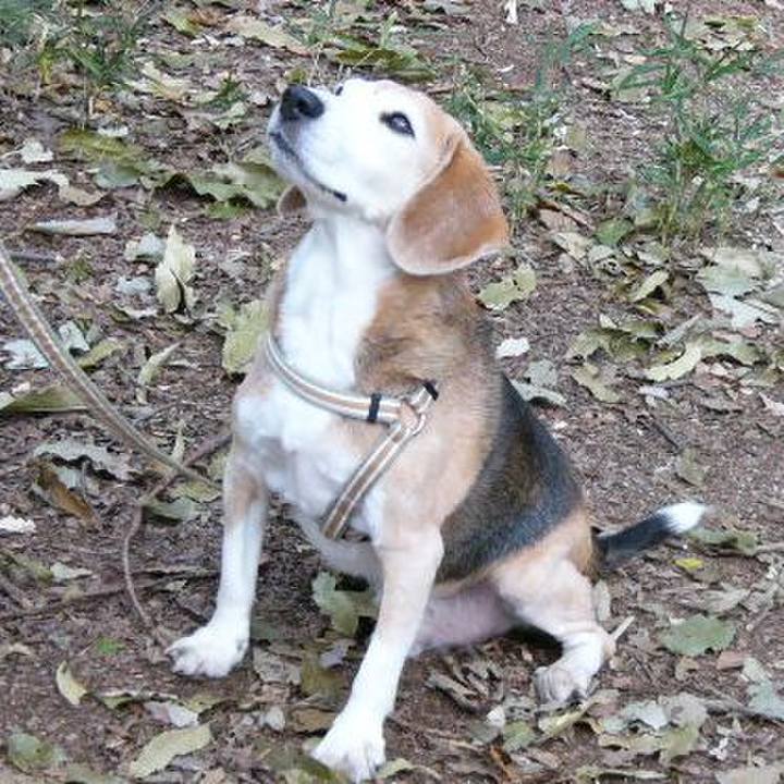 6711f152 bbd7 4667 a6f2 6b4aba535e91 1655770486896