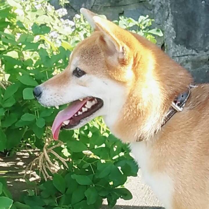 67120a2f 05bf 445a a0b8 c705b2230ee7 1536387477958