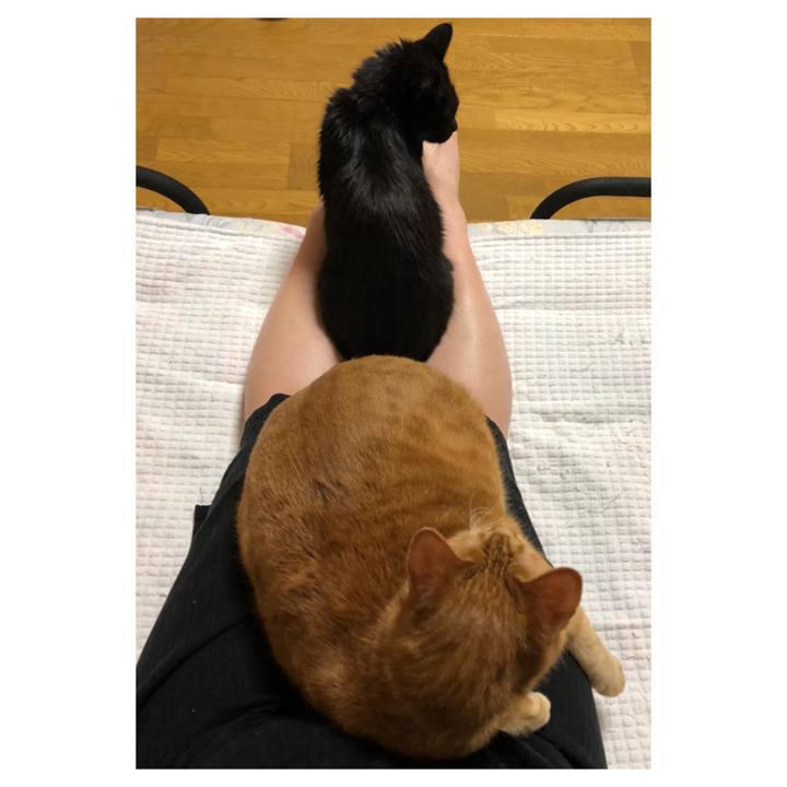 6712556e 0232 4f20 8582 1bf135ca8361 1589981523315